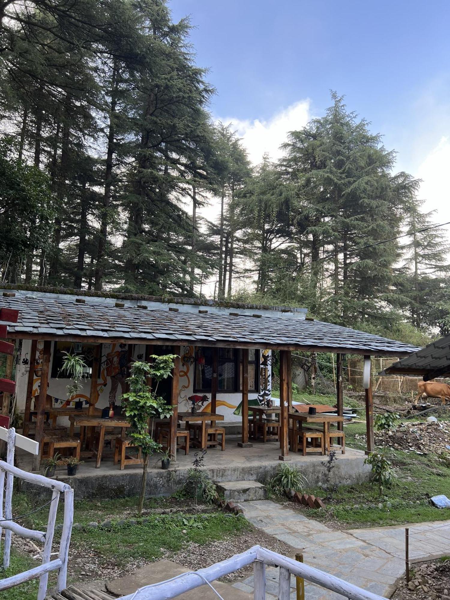 Himtrek Stays,Mcleodganj Маклеод-Гандж Екстер'єр фото