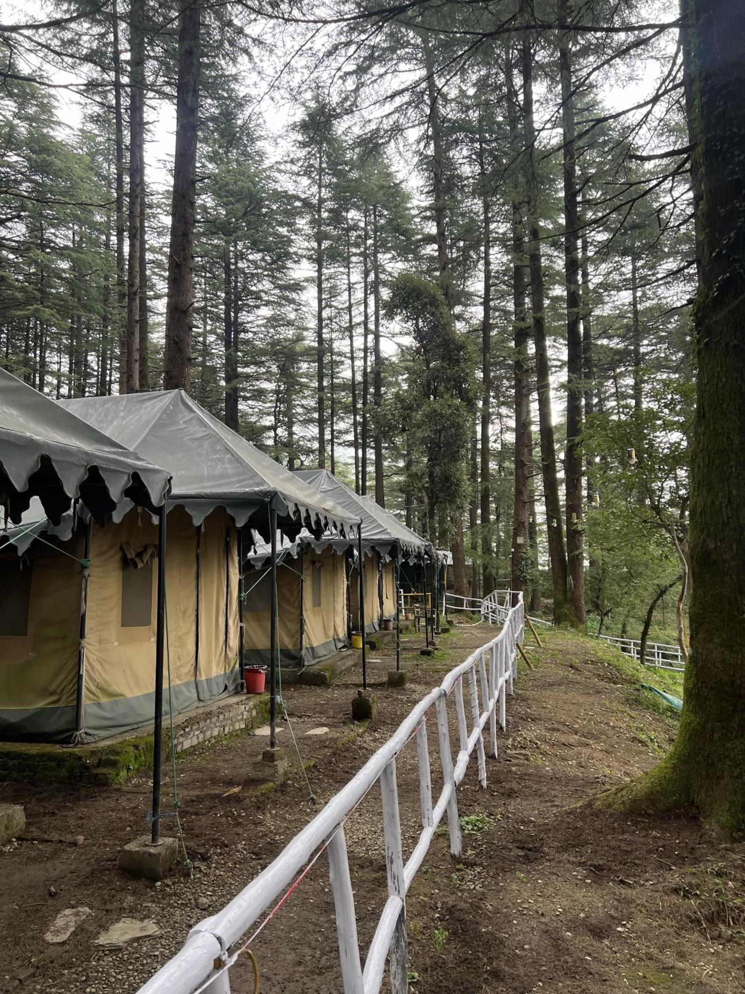 Himtrek Stays,Mcleodganj Маклеод-Гандж Екстер'єр фото