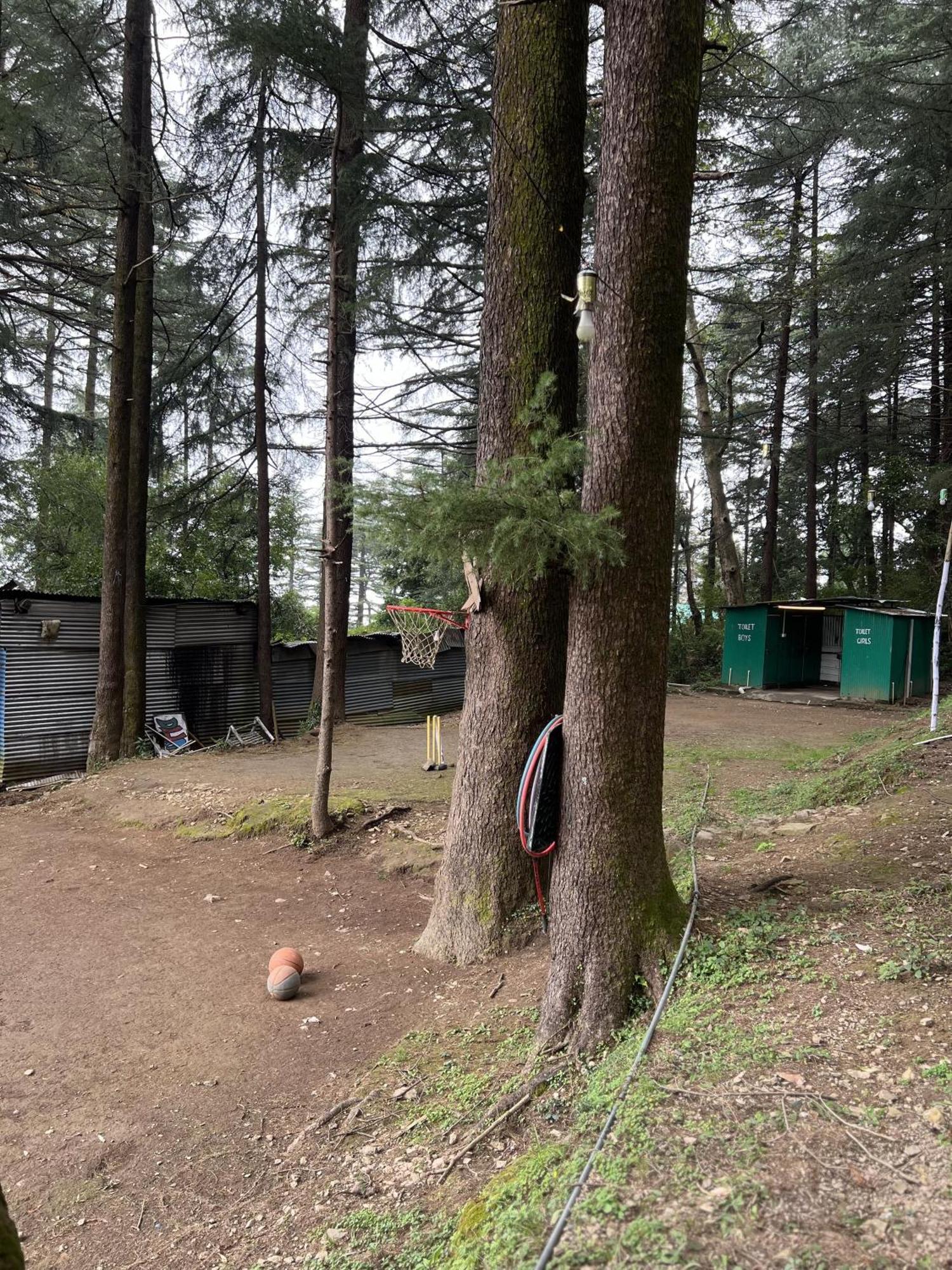 Himtrek Stays,Mcleodganj Маклеод-Гандж Екстер'єр фото