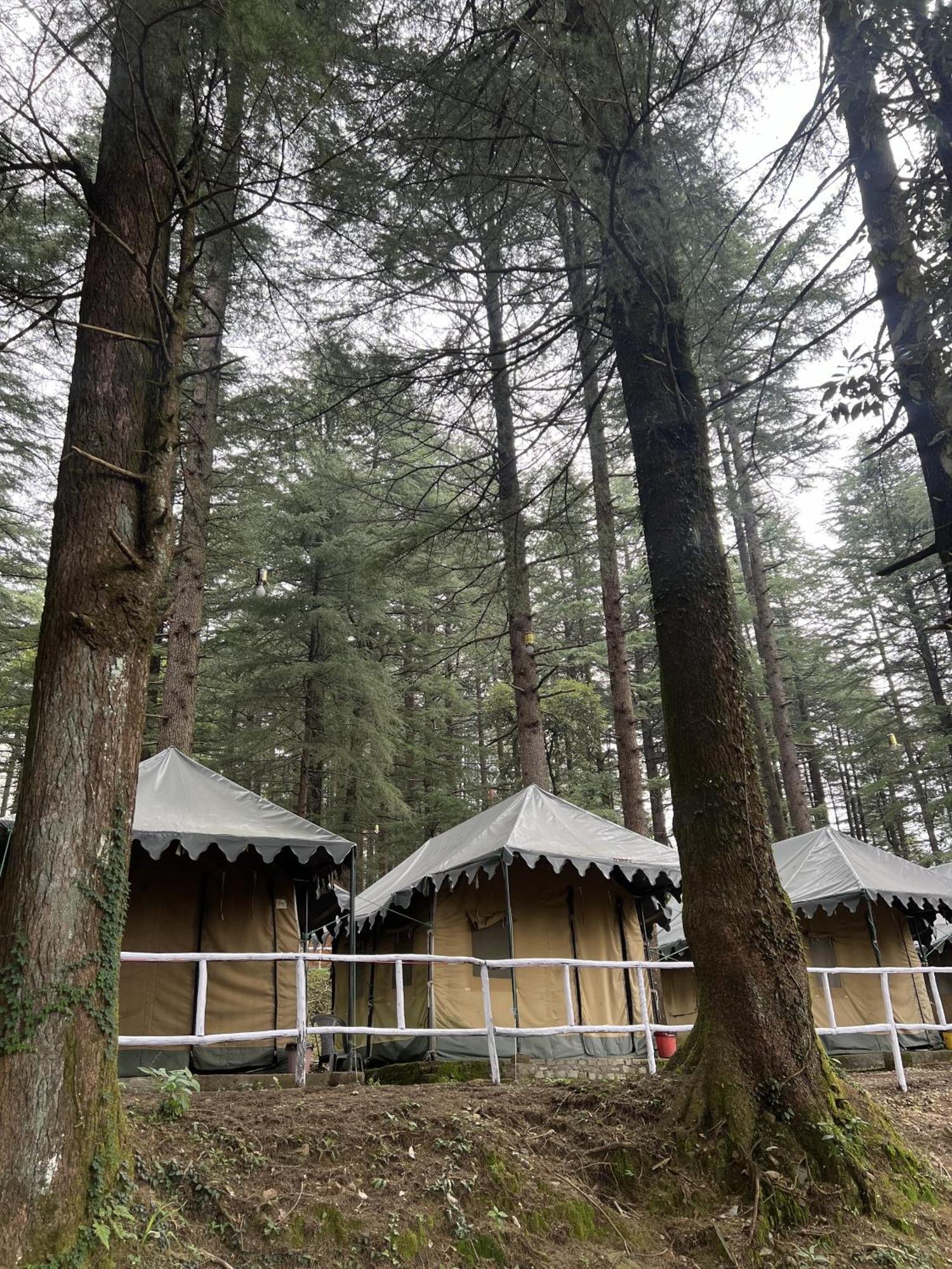 Himtrek Stays,Mcleodganj Маклеод-Гандж Екстер'єр фото