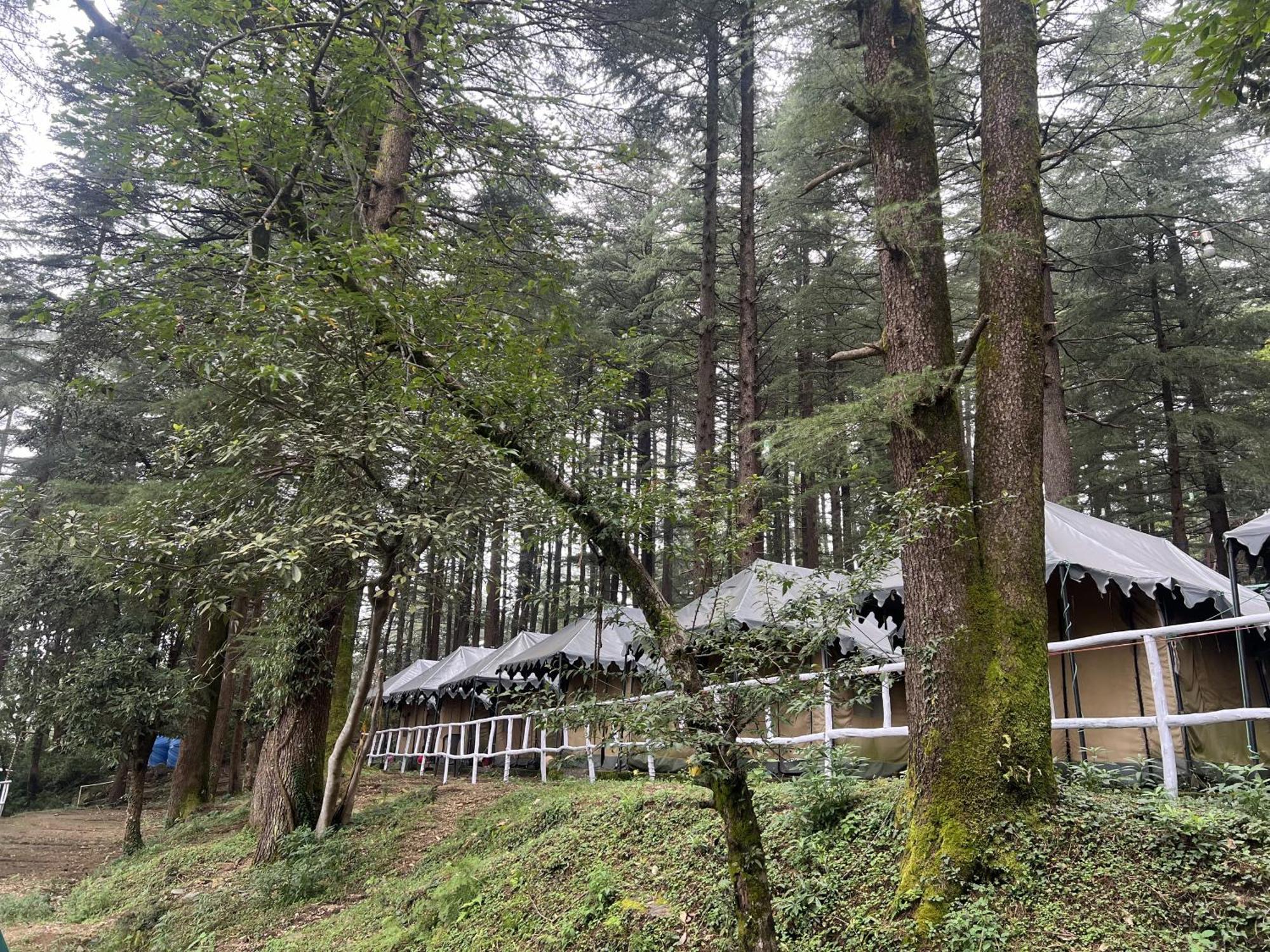 Himtrek Stays,Mcleodganj Маклеод-Гандж Екстер'єр фото