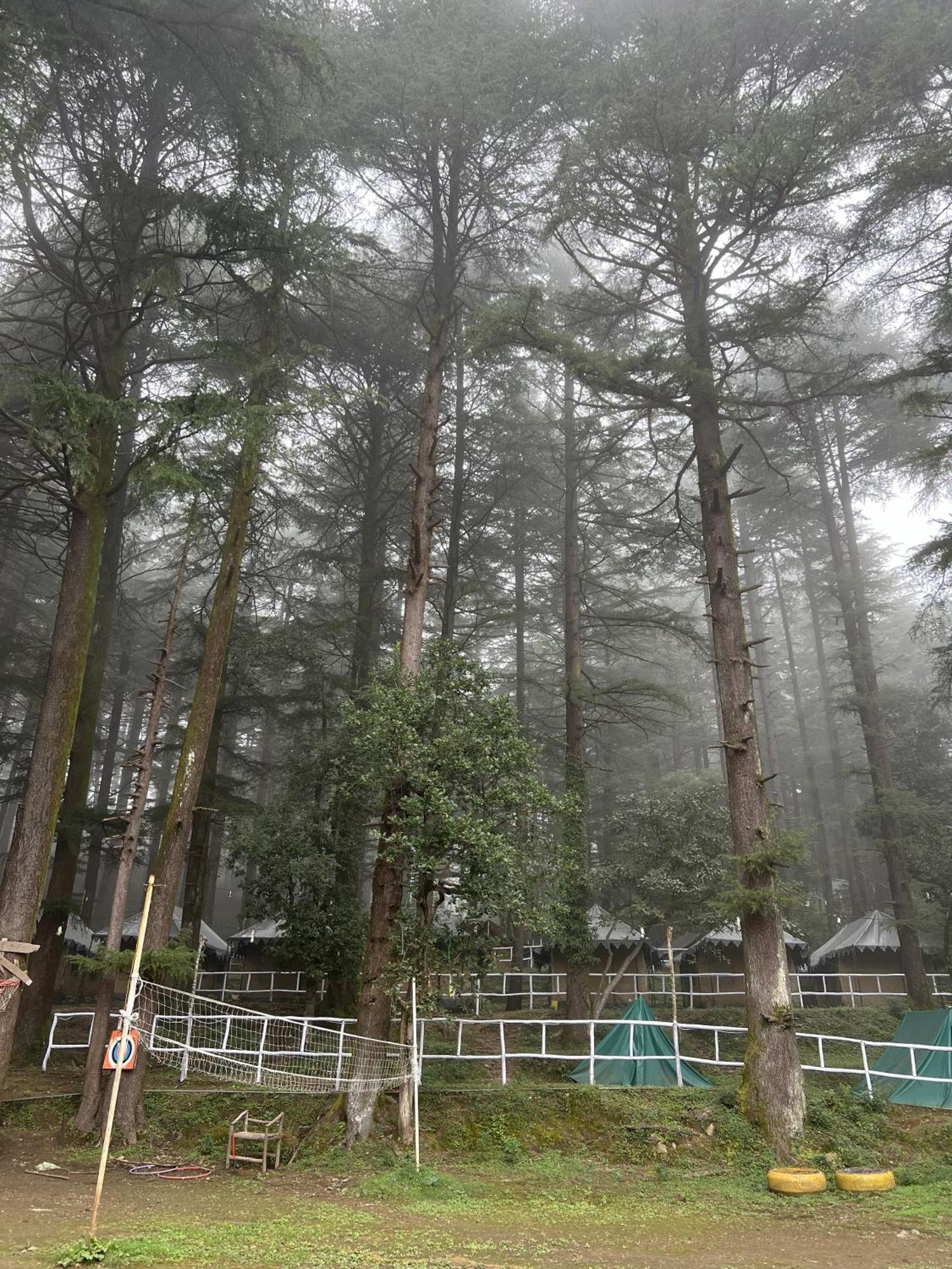 Himtrek Stays,Mcleodganj Маклеод-Гандж Екстер'єр фото